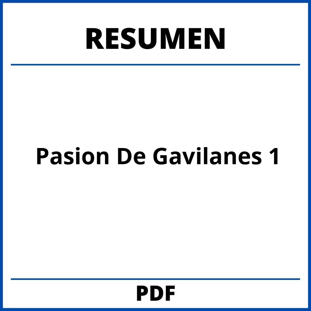 Resumen Pasion De Gavilanes 1