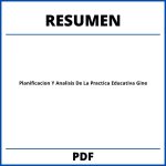 Planificacion Y Analisis De La Practica Educativa Gine Resumen
