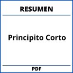 Resumen Del Principito Corto Pdf