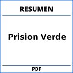 Resumen Del Libro Prision Verde