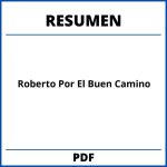 Roberto Por El Buen Camino Resumen