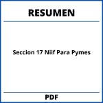Seccion 17 Niif Para Pymes Resumen