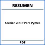Seccion 2 Niif Para Pymes Resumen