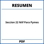 Seccion 22 Niif Para Pymes Resumen