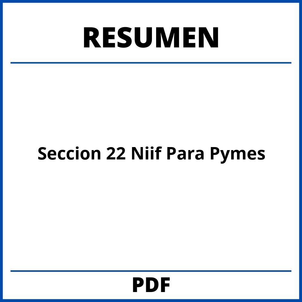 Seccion 22 Niif Para Pymes Resumen