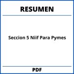 Seccion 5 Niif Para Pymes Resumen