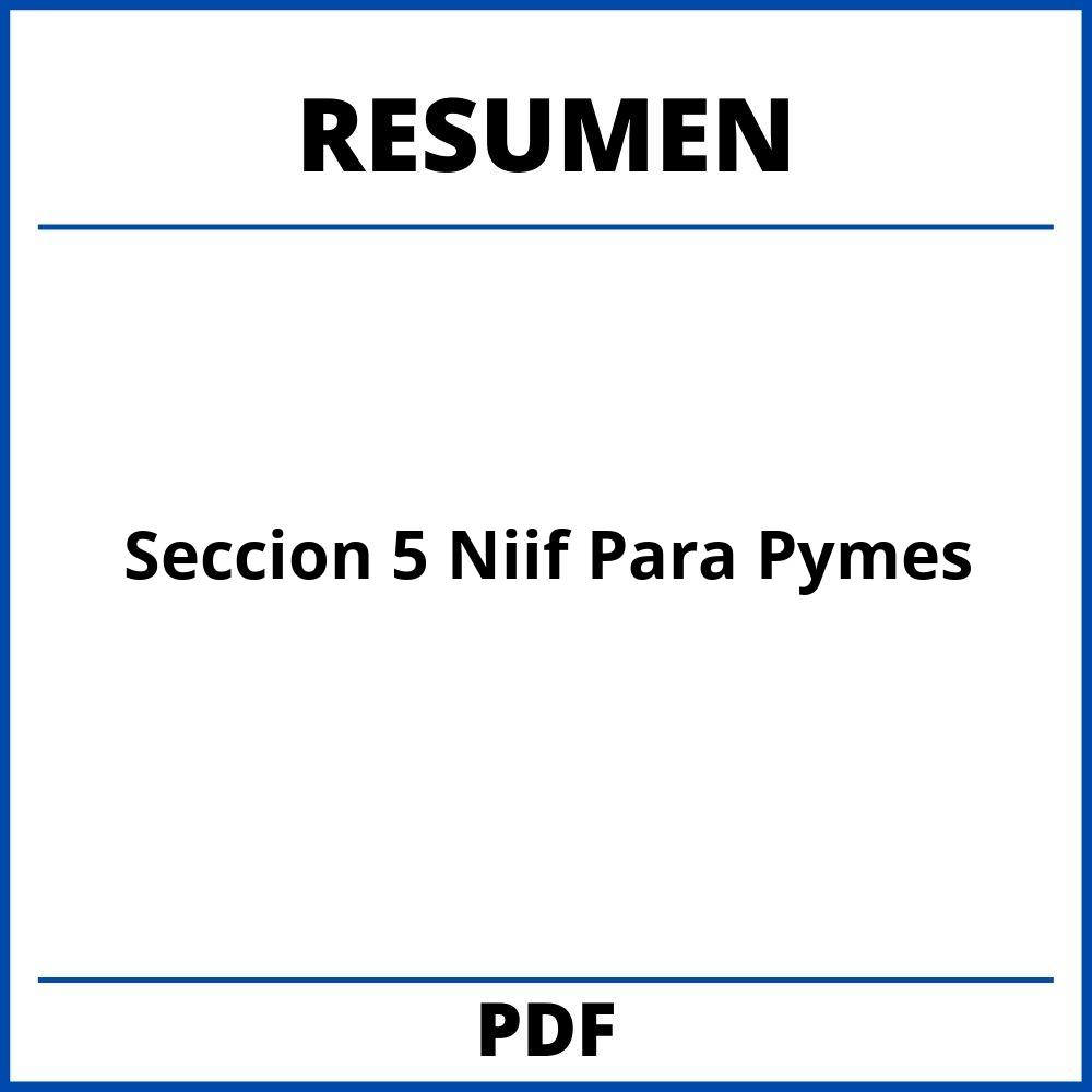 Seccion 5 Niif Para Pymes Resumen