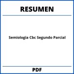 Resumen Semiologia Cbc Segundo Parcial