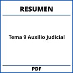 Resumen Tema 9 Auxilio Judicial