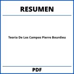 Teoria De Los Campos Pierre Bourdieu Resumen